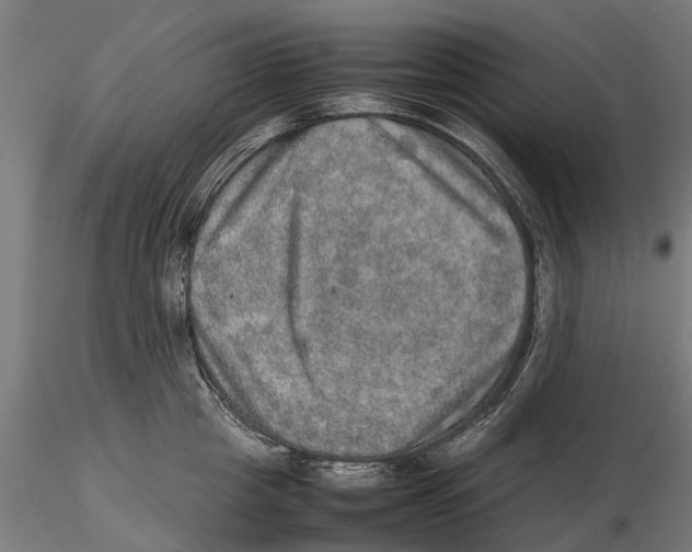 X0000115580857200912081024