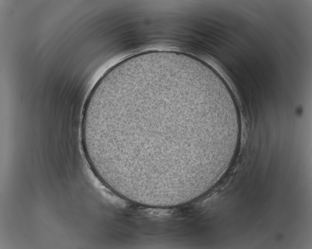 X0000115580861200912081024