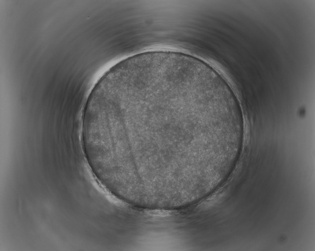 X0000115580862200912081024