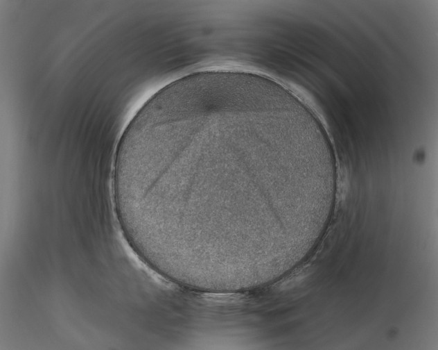 X0000115580863200912081024