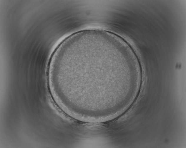 X0000115580864200912081024