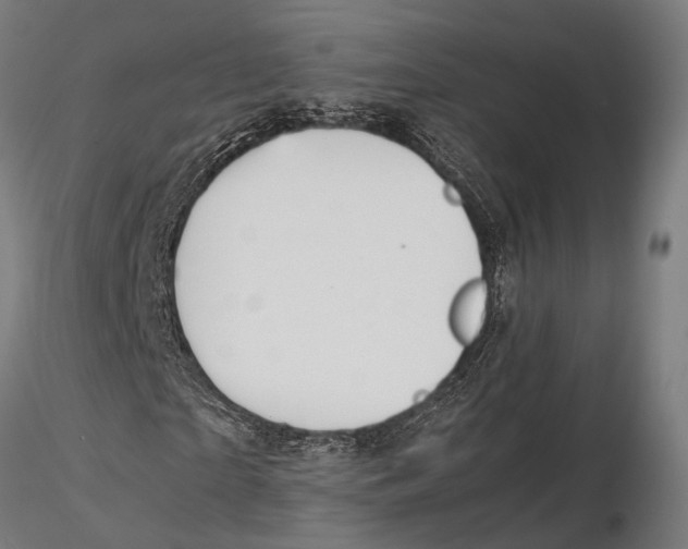 X0000115580865200912081023