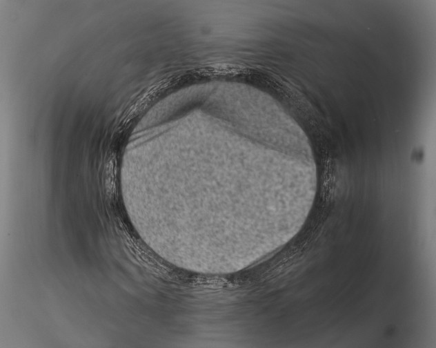 X0000115580866200912081023