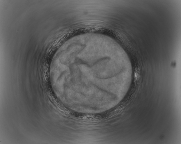 X0000115580867200912081023