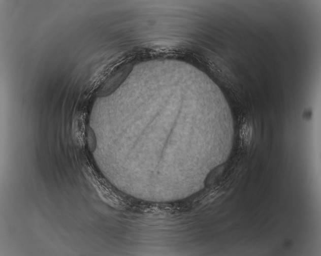 X0000115580868200912081023