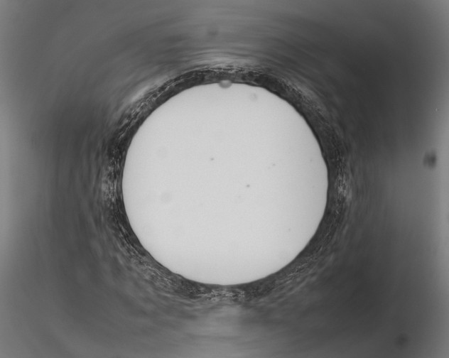 X0000115580869200912081023