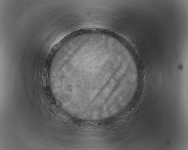 X0000115580871200912081023