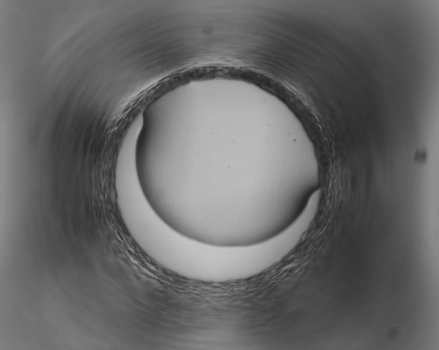 X0000115580872200912081023