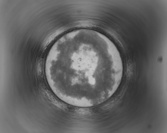 X0000115580874200912081023