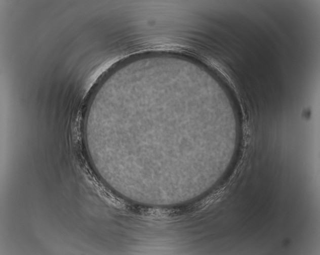 X0000115580875200912081023