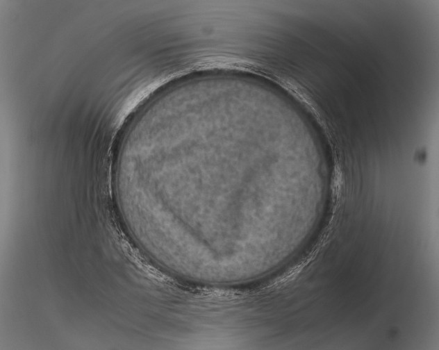 X0000115580877200912081023