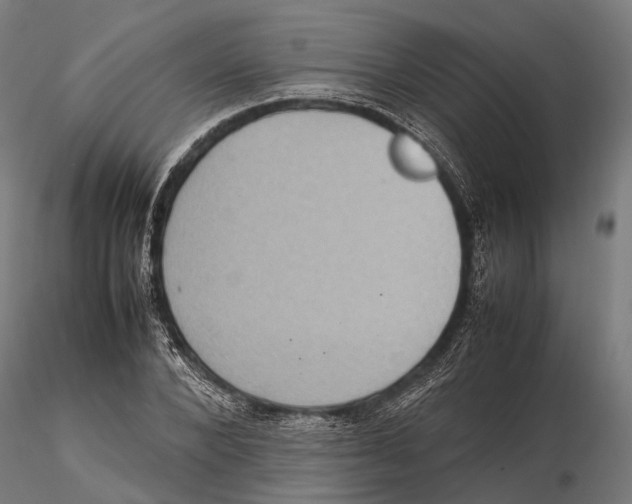 X0000115580880200912081023