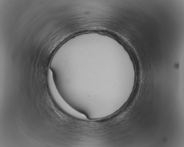 X0000115580881200912081023