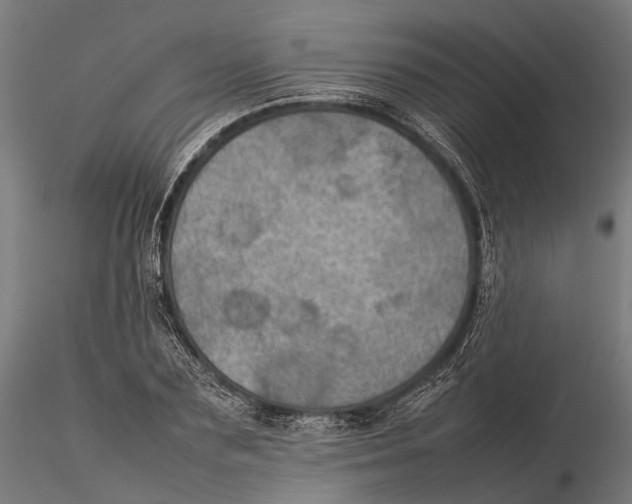 X0000115580883200912081023