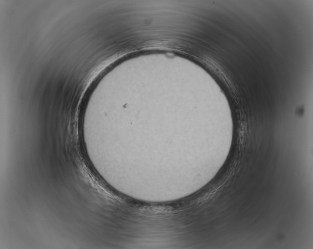 X0000115580884200912081023