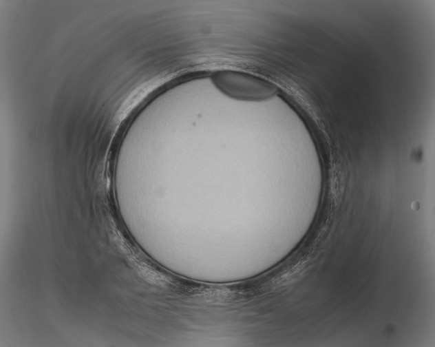 X0000115580885200912081023