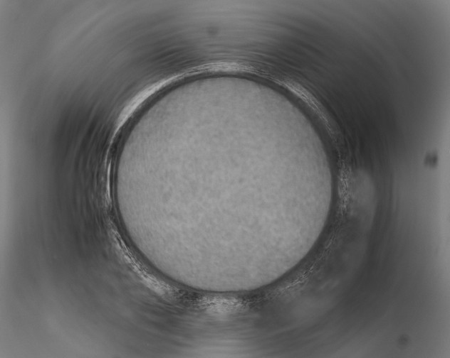 X0000115580886200912081023