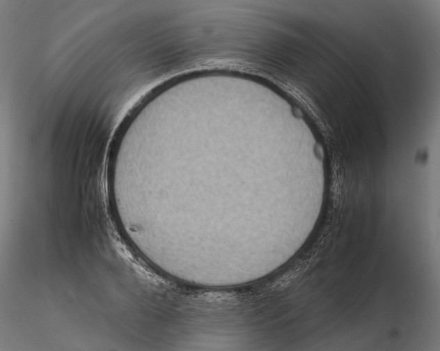 X0000115580888200912081023