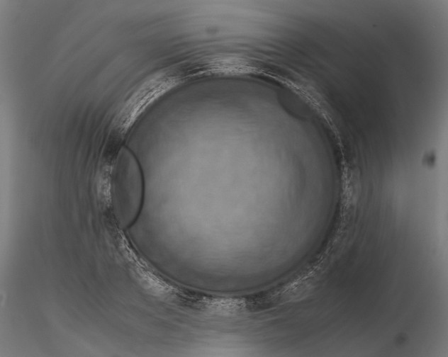 X0000115580889200912081023