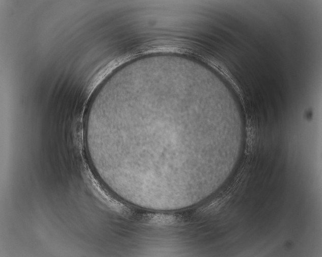 X0000115580890200912081023