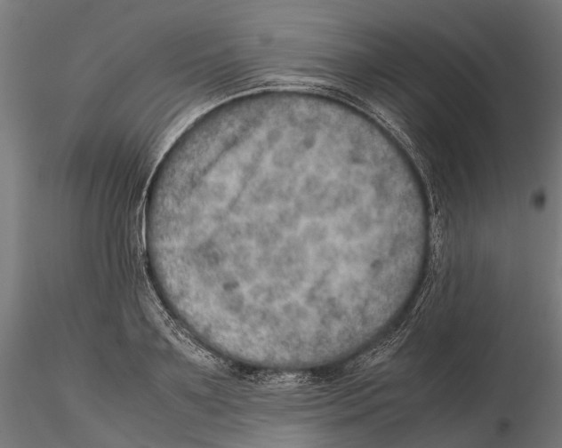 X0000115580891200912081023