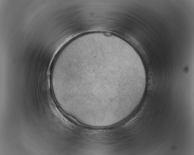 X0000115580892200912081023