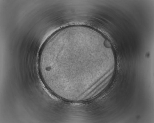 X0000115580894200912081023