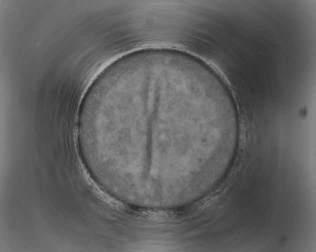 X0000115580895200912081023