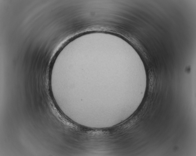 X0000115580896200912081023