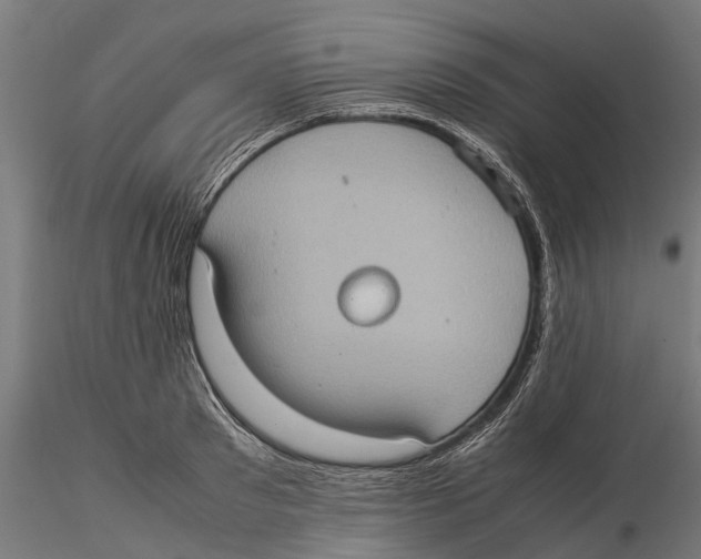 X0000115580897200912081023