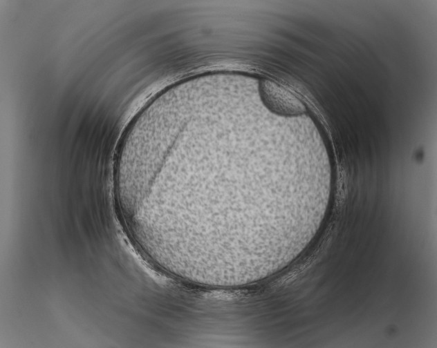 X0000115580898200912081023