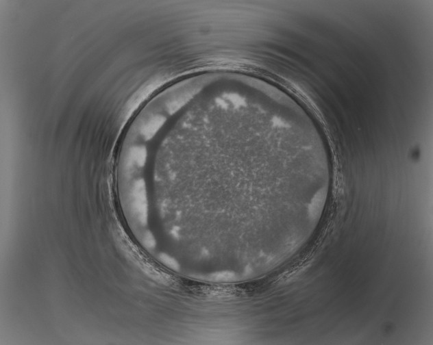 X0000115580899200912081023