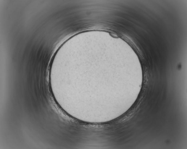 X0000115580900200912081023