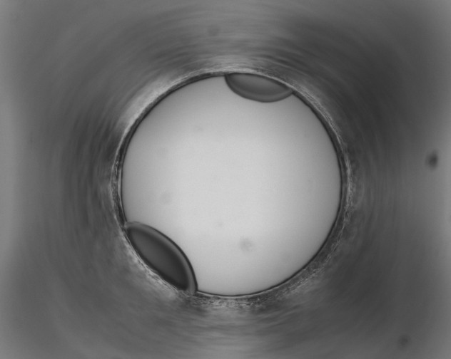 X0000115580901200912081023