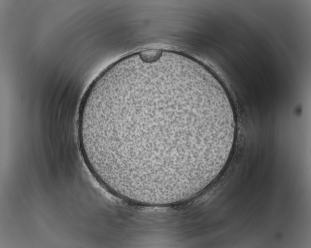 X0000115580902200912081023