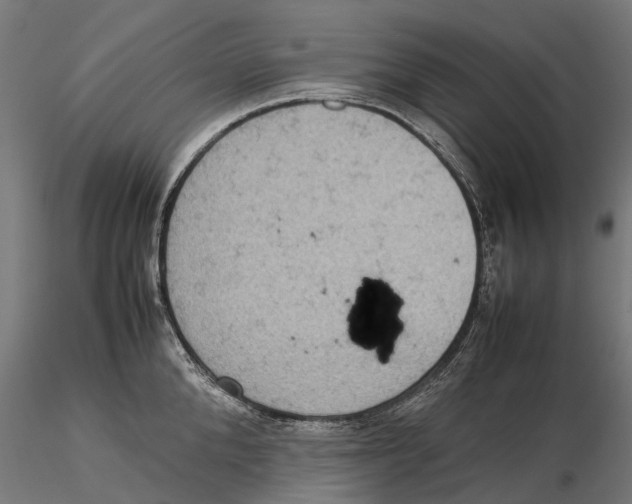 X0000115580904200912081023