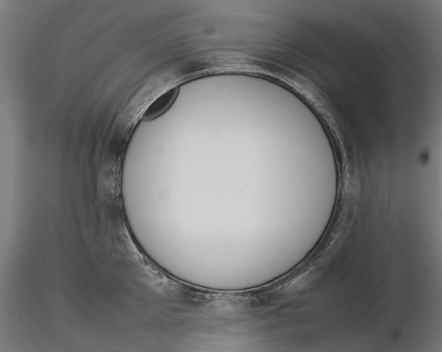 X0000115580905200912081023