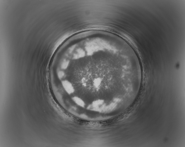 X0000115580907200912081023