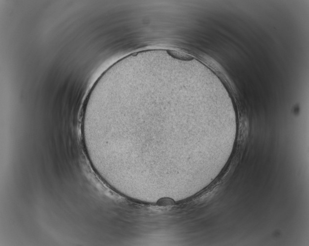 X0000115580908200912081023