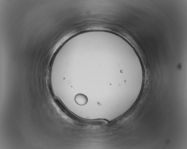 X0000115580909200912081023