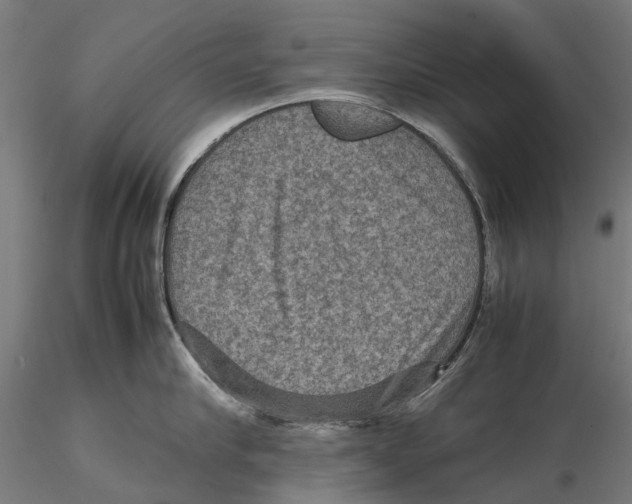 X0000115580910200912081023