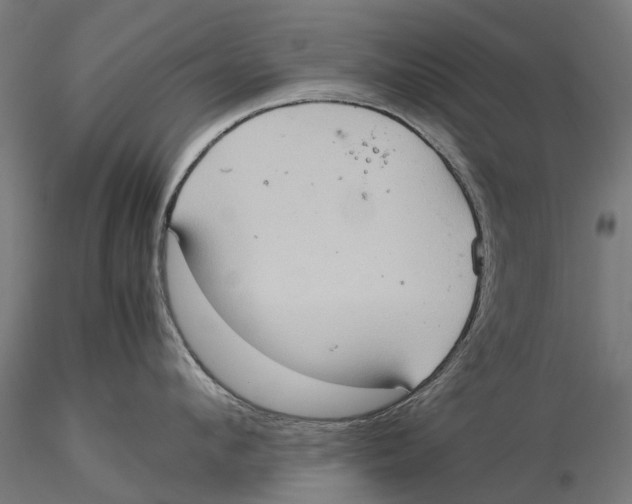 X0000115580912200912081023