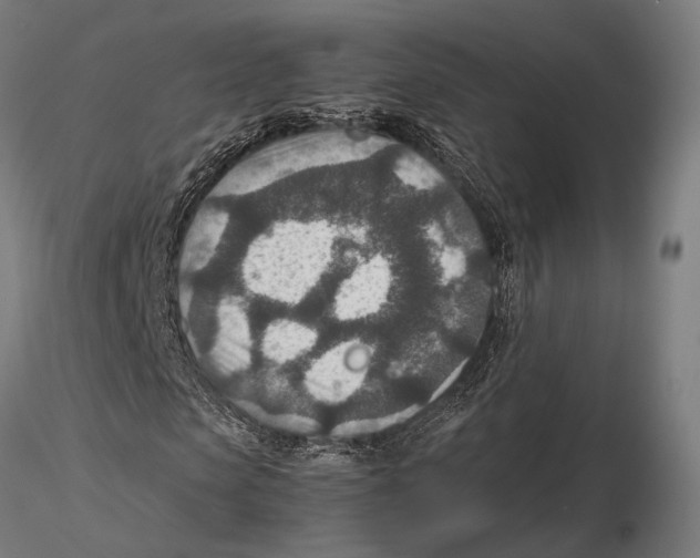 X0000115580913200912081022