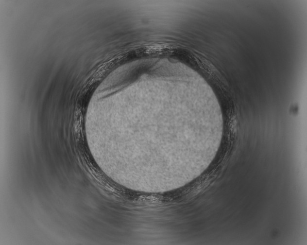 X0000115580914200912081022