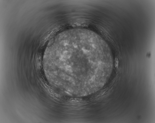 X0000115580915200912081022