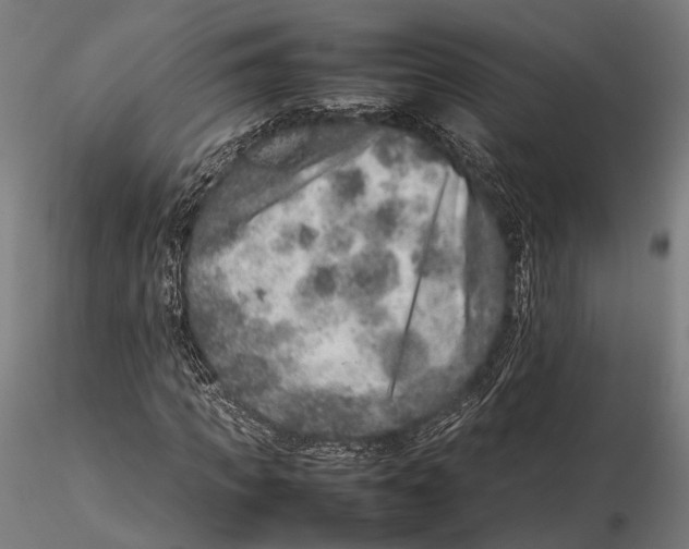 X0000115580917200912081022