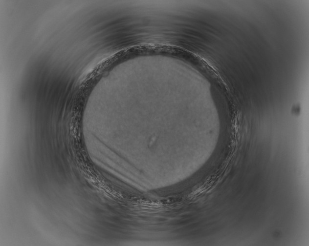 X0000115580919200912081022