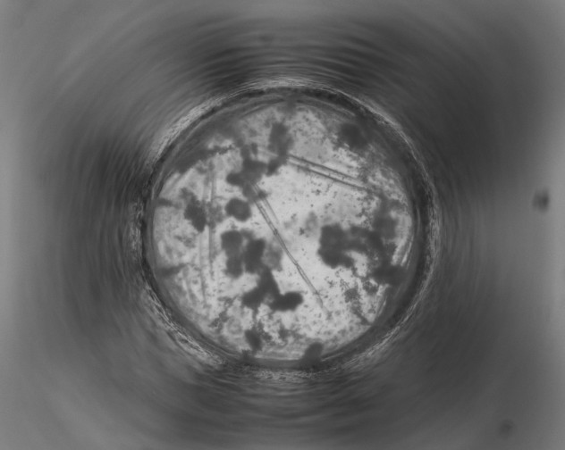 X0000115580921200912081022