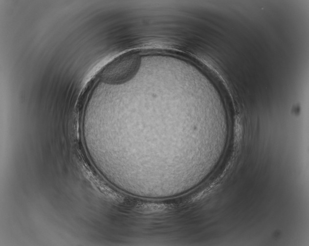 X0000115580925200912081022