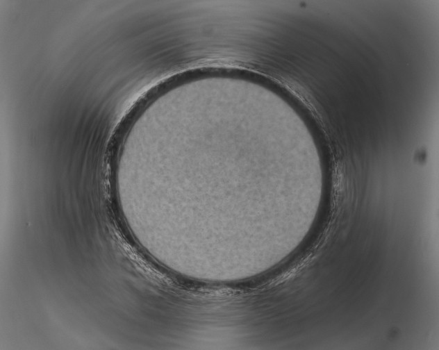 X0000115580926200912081022